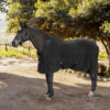 Polar Fleece Rug - Image 3