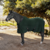 Polar Fleece Rug - Image 2