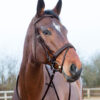 Horze Venice horse Bridle - Image 3