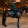 Equestrian Stockholm Dressage-SYCAMORE GREEN - Image 3