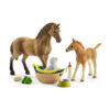 Horse Club - Sarah's baby animal care