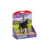 Horse Club - Lisa & Storm Figurine