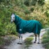 Blue Steel Outdoor Duvet Full Hood