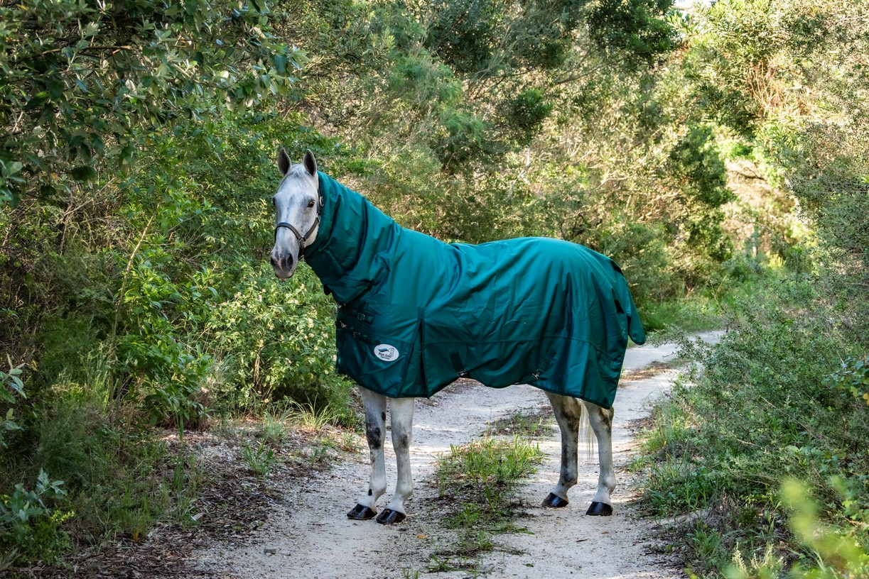 Blue Steel outdoor duvet with full hood
