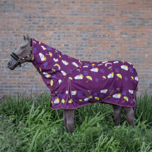 Storm Buster Waterproof Combo- Rain or Shine Burgundy