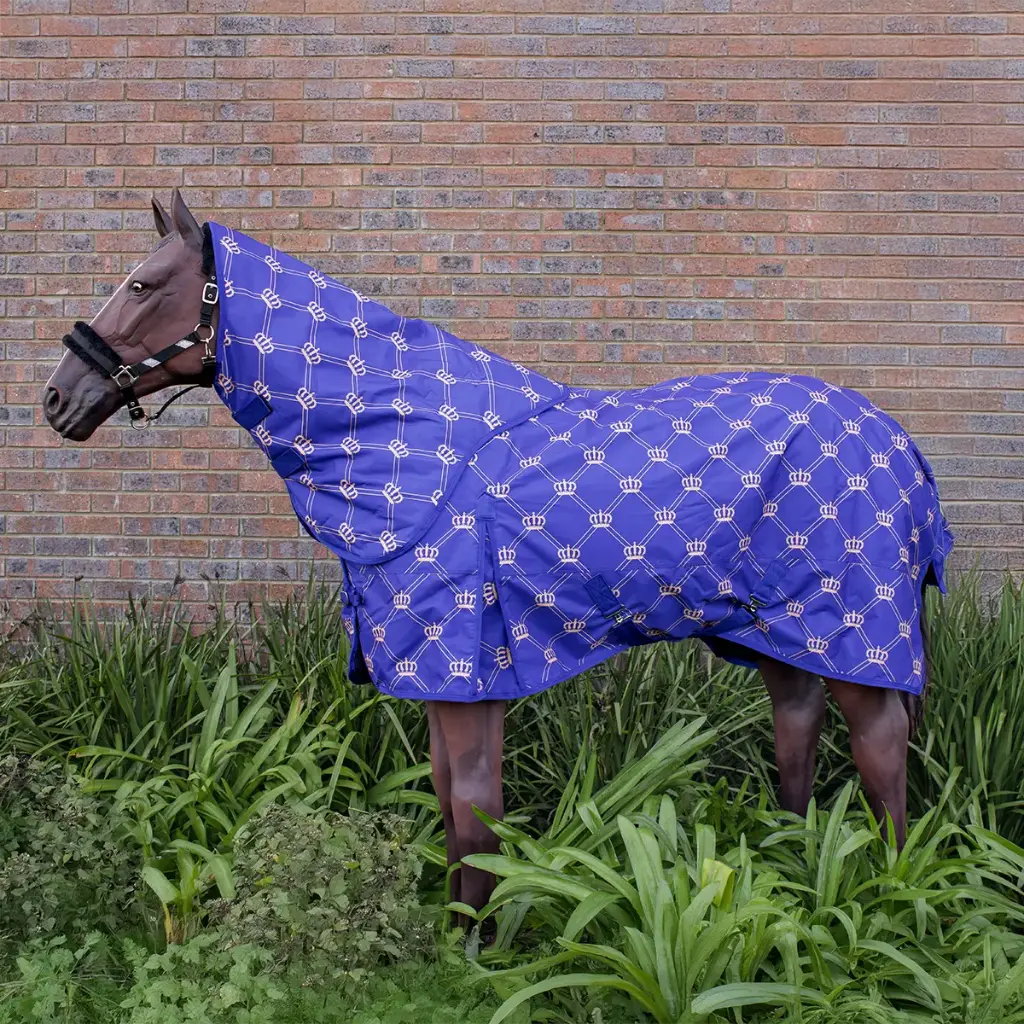 Storm Buster waterproof rug in royal crown print