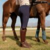 La Regalia Azul Breeches - Image 5