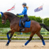LeMieux Benetton Blue - Image 6